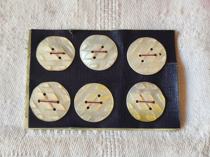 Rare petite plaque boutons anciens en nacre  1,7 cm  lot de 6 n°36