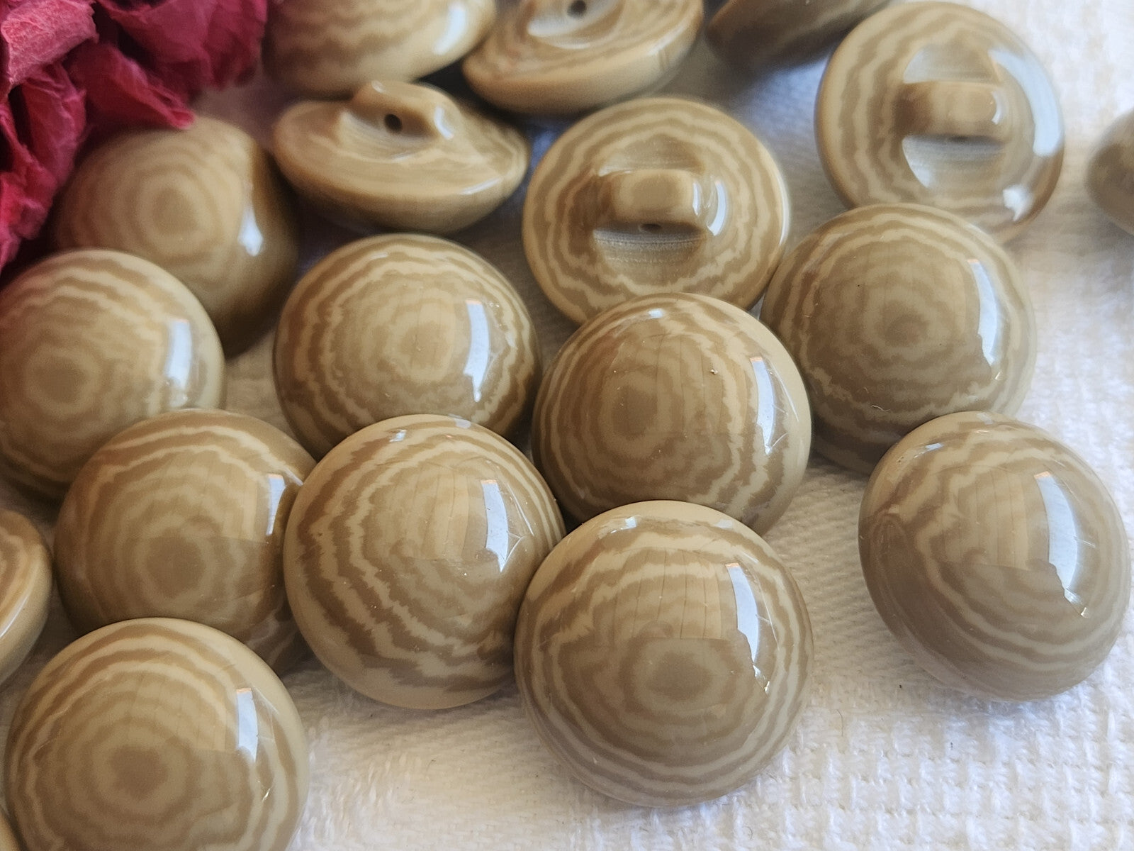 Lot 6 boutons vintage bombé camaieu marron pied 1,7 cm ref 495