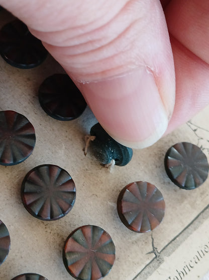 Collection lot 24 boutons anciens pieds  1,1 cm ou 11 mm vers 1900