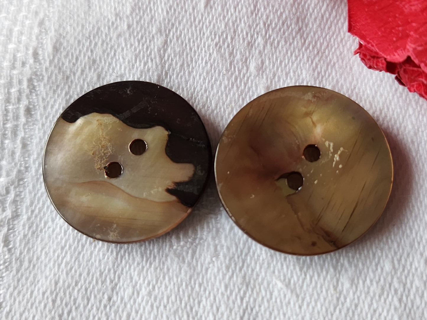 Duo boutons anciens vintage en nacre marron travaillé 2,3 cm G13E