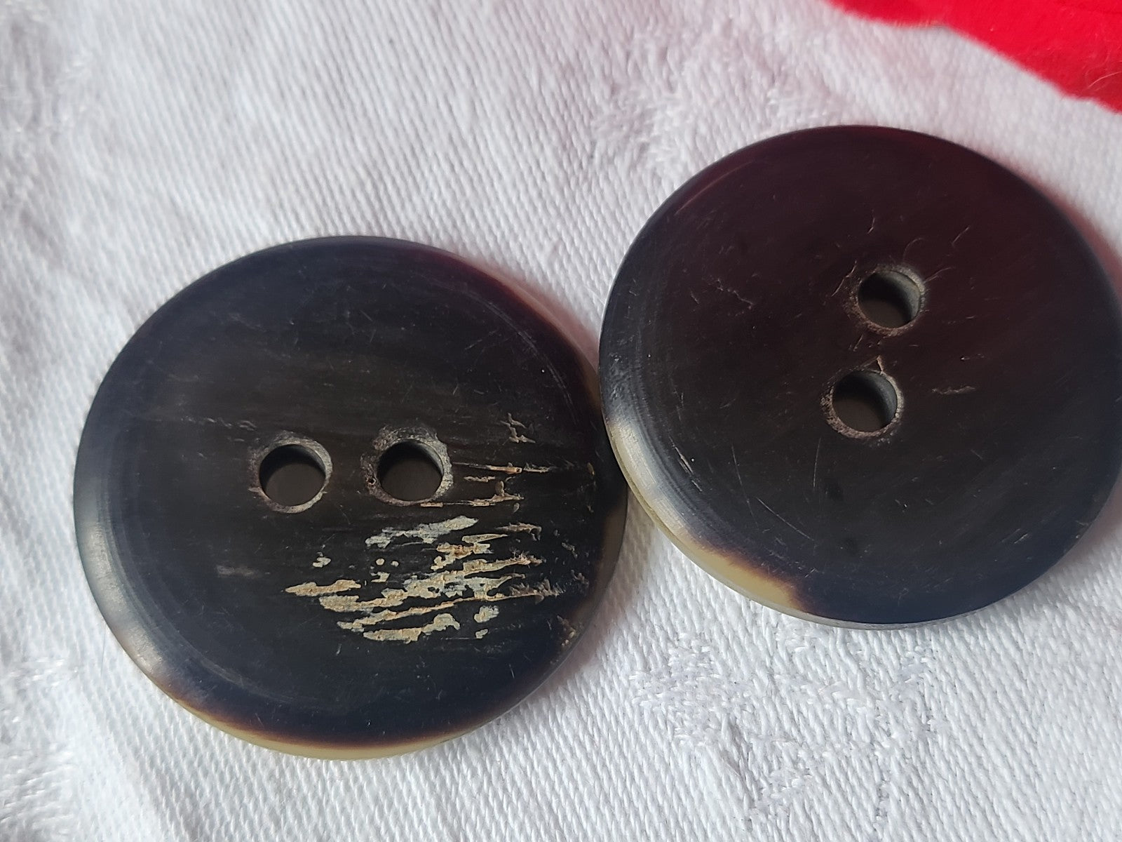 Duo gros boutons anciens en corne creme XXL 3,9 cm ref 1902