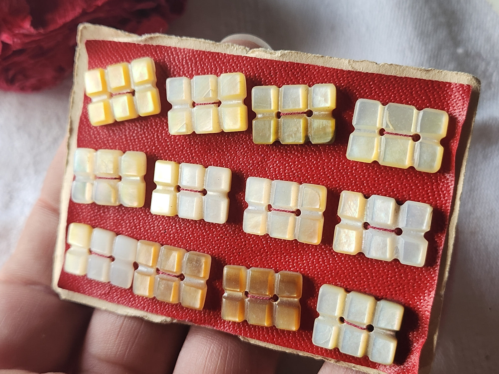 Rare petite plaque lot 12 boutons ancien en nacre forme originale n°2-D