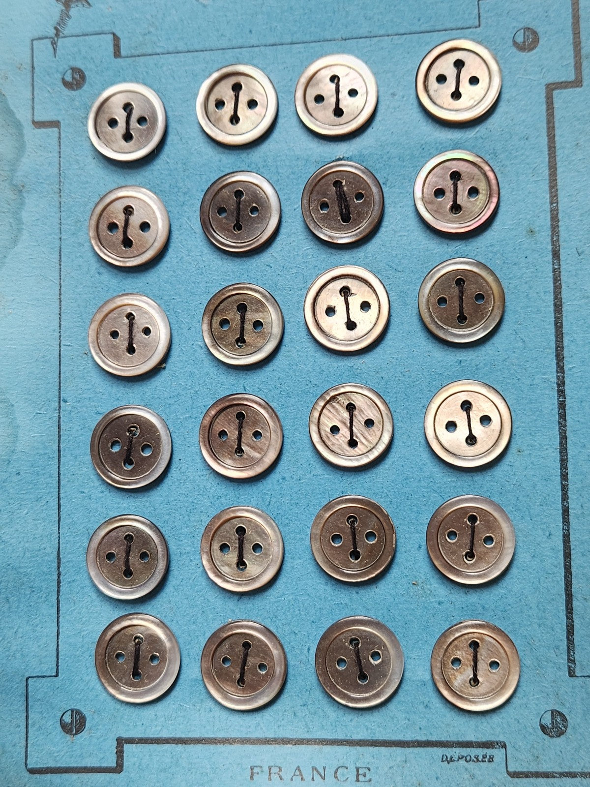 Plaque 24 boutons anciens en nacre gris 1,2 cm année 20/30 N°9