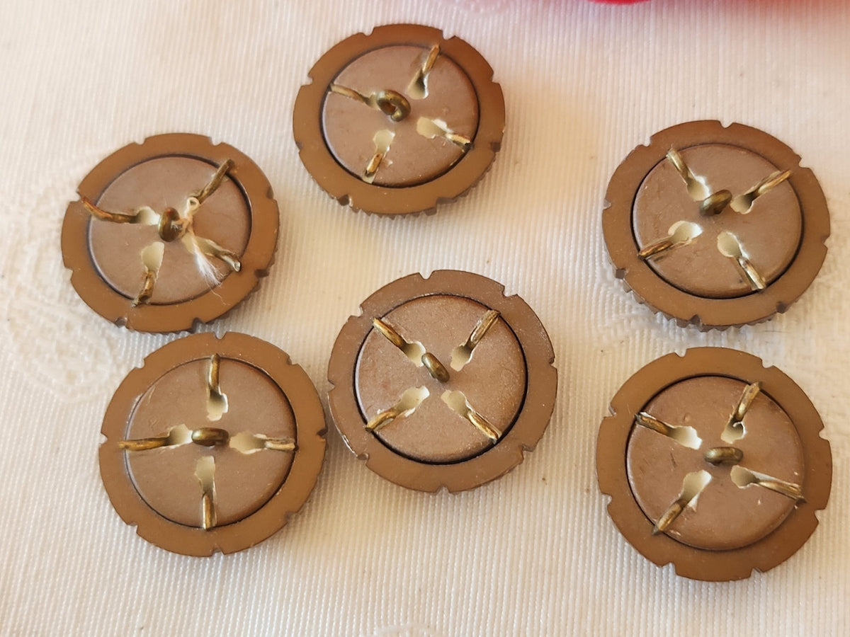 Collection  lot 6 boutons anciens avec sorte agraphe marron 2,2 cm ref 6650