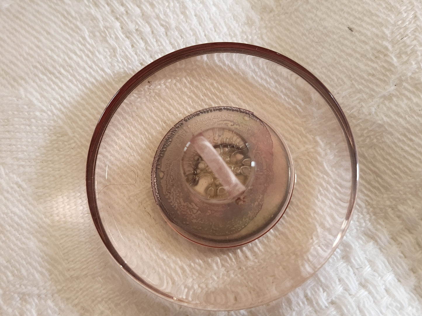 Collection enorme bouton vintage coeur en nacre  3,3 cm superbe ref 332