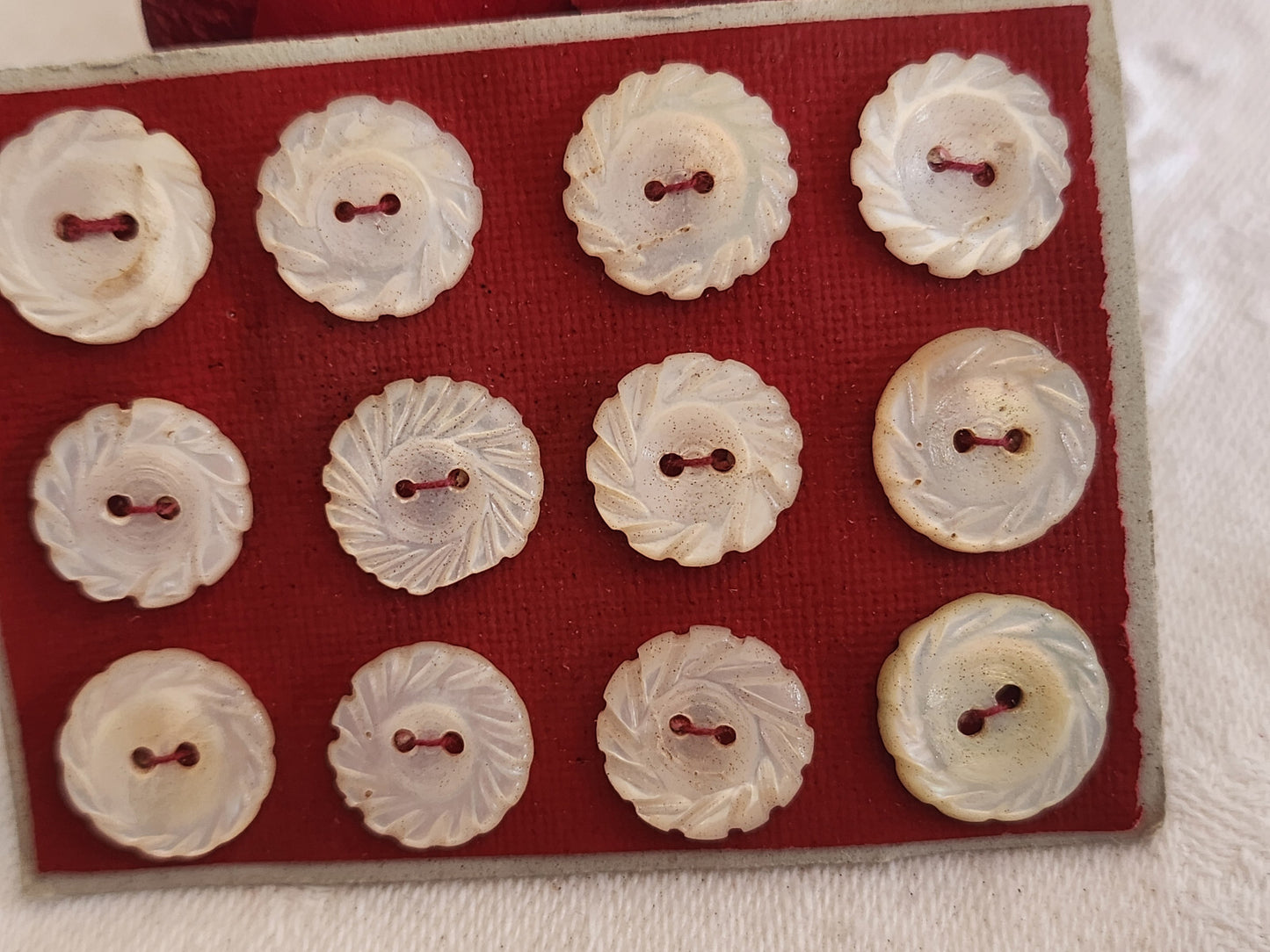 Rare petite plaque boutons anciens en nacre  1,2 cm  lot de 12 n°2l