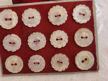 Rare petite plaque boutons anciens en nacre  1,2 cm  lot de 12 n°2l