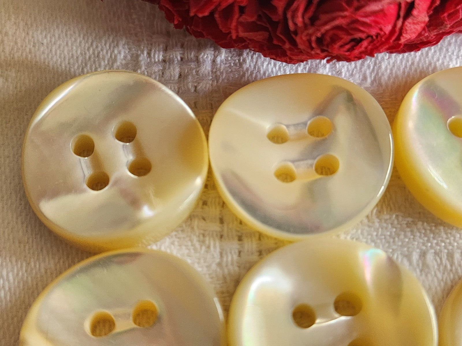 Lot  6 boutons anciens en nacre blanc épais bord 2,2 cm lourd ref  5967