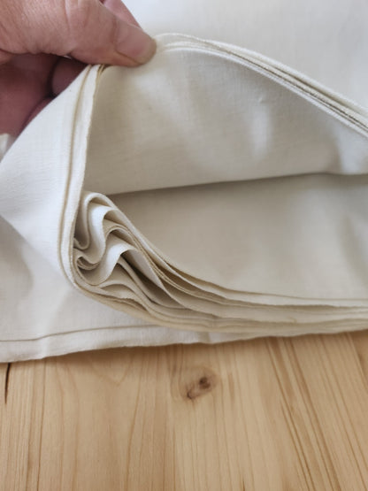 Lot de deux grands neufs anciens toile B7