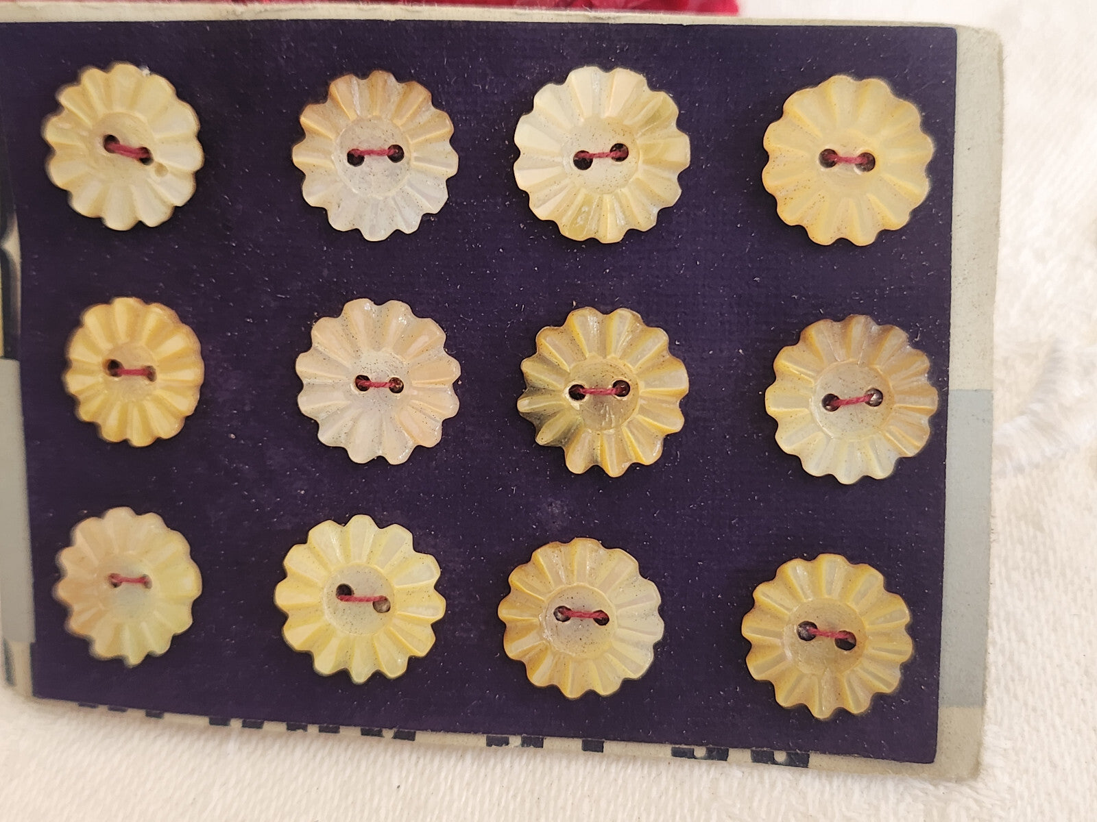 Rare petite plaque boutons anciens en nacre  1,1 cm  lot de 12 n°4G