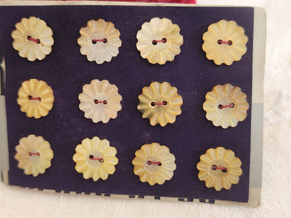 Rare petite plaque boutons anciens en nacre  1,1 cm  lot de 12 n°4G