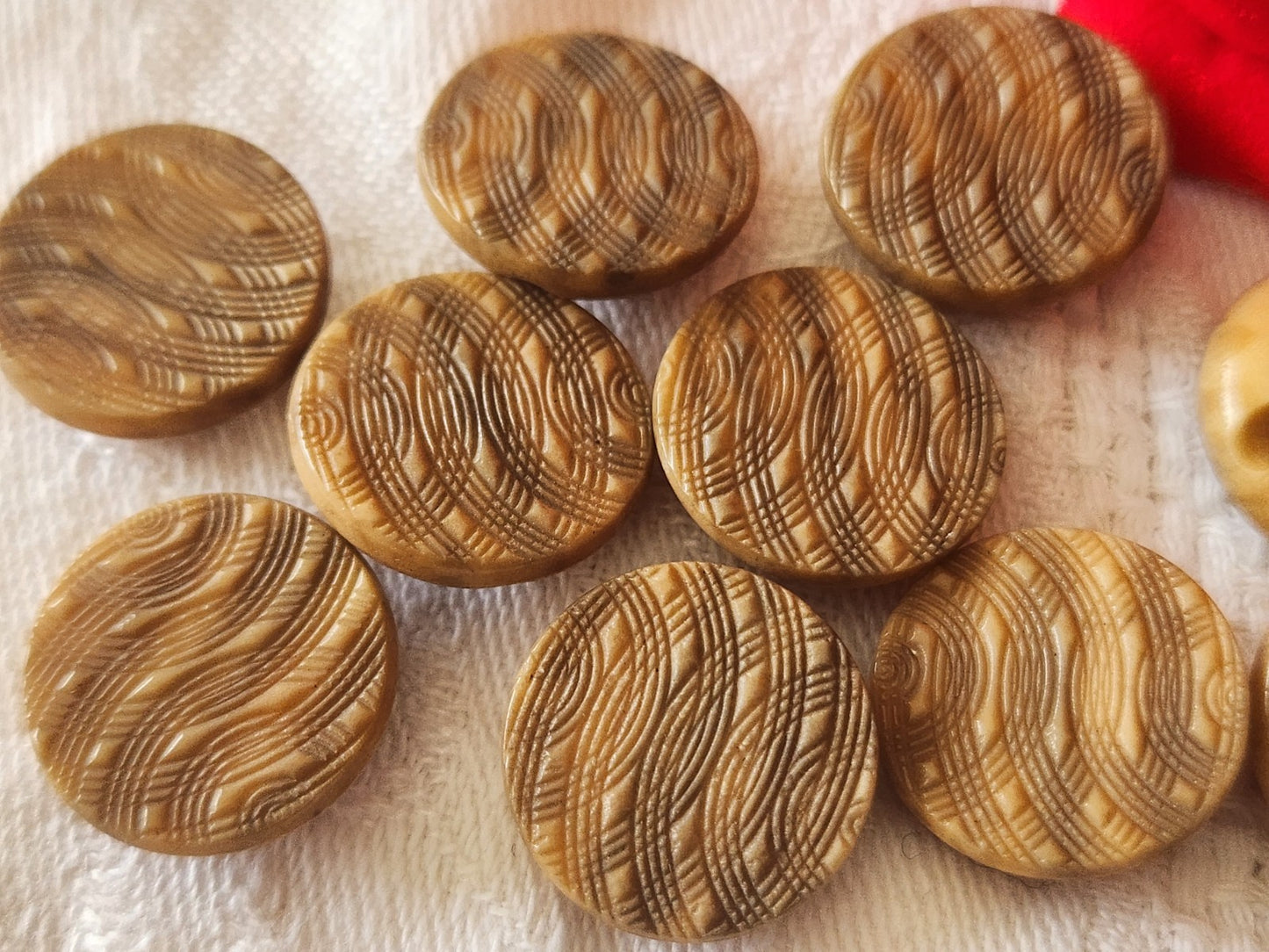 Lot 10 boutons anciens en corozo  marron 1,7 cm pied ref 3967